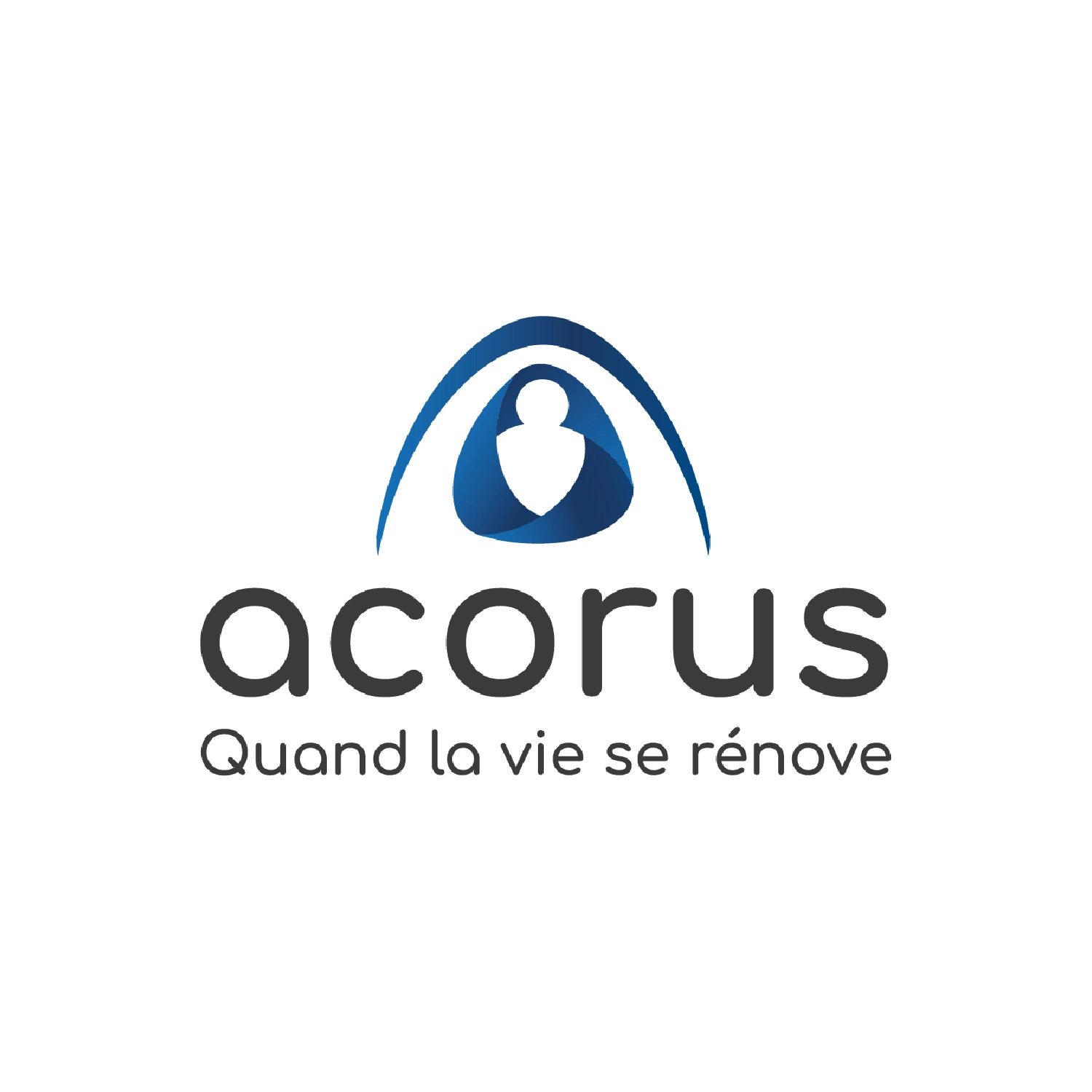 Acorus